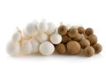 Shimeji mushrooms both brown and white varieties Royalty Free Stock Photo