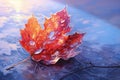 Shimmering Beauty: A Red Leaf with Sparkles on an Icy Background