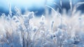 Shimmering Blue Flax Fields Covered in Frost AI Generated