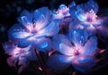 Shimmering blue flowers with a hint of purple