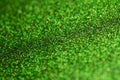 Shimmering green glitter macro abstract texture background Royalty Free Stock Photo