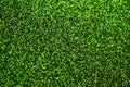 Shimmering green glitter macro abstract texture background Royalty Free Stock Photo