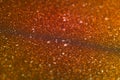 Shimmering orange sandy background with wavy texture and blur. Macro image of a metallic shiny surface