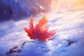 Shimmering Scarlet: A Mesmerizing Red Leaf on a Frozen Wonderland