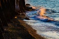 Shimmering Shoreline Royalty Free Stock Photo