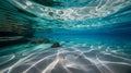 Shimmering Sunlight Reflections on the Bottom of a Clear Underwater Bay Royalty Free Stock Photo