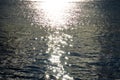 Sparkling sunlight on water surface Royalty Free Stock Photo