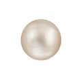 Shimmering white natural nacreous pearl isolated on white background Royalty Free Stock Photo