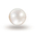 Shimmering white natural pearl isolated on white background Royalty Free Stock Photo