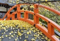 Shimogamo-jinja Shrine, Kyoto, Japan Royalty Free Stock Photo