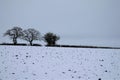 Shimpling Suffolk in the snow