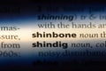 shinbone Royalty Free Stock Photo