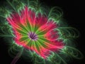 Shine Flower Background - Fractal Art. Abstract computer generated image Royalty Free Stock Photo