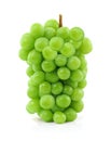 Shine Muscat Japanese green grapes