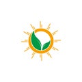 Shine sun green leaf organic natural symbol logo vector Royalty Free Stock Photo