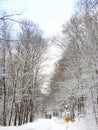 Shindagin Hollow State Forest winter scene seasonal entry road Royalty Free Stock Photo