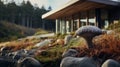 Vibrant Mushroom In Coastal Landscape With Futuristic Architecture Royalty Free Stock Photo