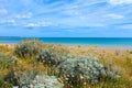 Sandwich Bay shingle beach Kent UK Royalty Free Stock Photo