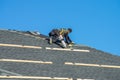 the shingle, roof of a plywood house