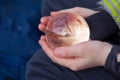 Shinig glass ball in child hands