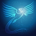 Shining abstract Phoenix bird on blue background w