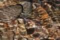 Shining abstract stone formations in a mountain creek