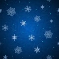 Shining background with snowflakes Royalty Free Stock Photo