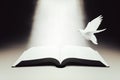 A shining bible, a bright beam of light and a white dove of the Holy Spirit Royalty Free Stock Photo
