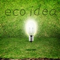 Shining bulb in grass room background,eco idea Royalty Free Stock Photo