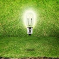 Shining bulb in grass room background,eco idea Royalty Free Stock Photo