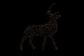 Shining christmas deer silhouette from yellow xmas lights outdoor