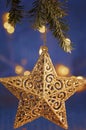 Shining Christmas Star Decoration