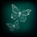 Shining crystal butterfly. Vector illustration