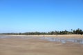 A shining day on a beach in india