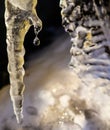 Shining drop of water falling from an icicle on black background Royalty Free Stock Photo