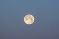 Shining full moon in the evening blue sky. Royalty Free Stock Photo
