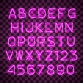 Shining and glowing purple neon alphabet and digits.