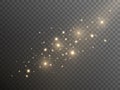 Shining gold dust on transparent background. Christmas magic lights template. Abstract golden sparks. Luxury sparkling Royalty Free Stock Photo