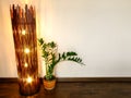 Shining Lamp of Bamboo and Zamiculcas