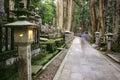 Shining lantern and ghost at Okunoin cemetery at Koyasan, Japan.