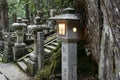 Shining lantern at Okunoin cemetery at Koyasan, Japan. Royalty Free Stock Photo