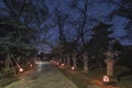 Shining lanterns illuminating the path of Ueno Toshogu shrine at night.