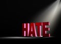 Shining a Light On Hate