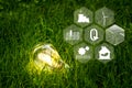 Shining lightbulb among grasses and renewable energy source icons as a symbol of net zero carbon emission.