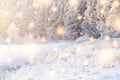 Shining magic snowflakes fall on snowy forest in sunlight. Christmas background. Winter nature landscape Royalty Free Stock Photo