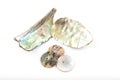 Shining mother of pearl and pearl buttons Royalty Free Stock Photo