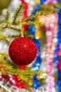 Shining red Christmas ball hanging on branch of Xmas pine tree. Close-up of holiday ornament for Happy New Year Royalty Free Stock Photo