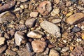 Shining ripples of transparent clear water on the river pebble