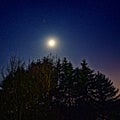 Starry sky and bright moon above forest by dark-blue night