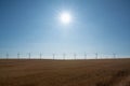 Shining sun over rows of Wind Turbines and wheat fields in Oregon